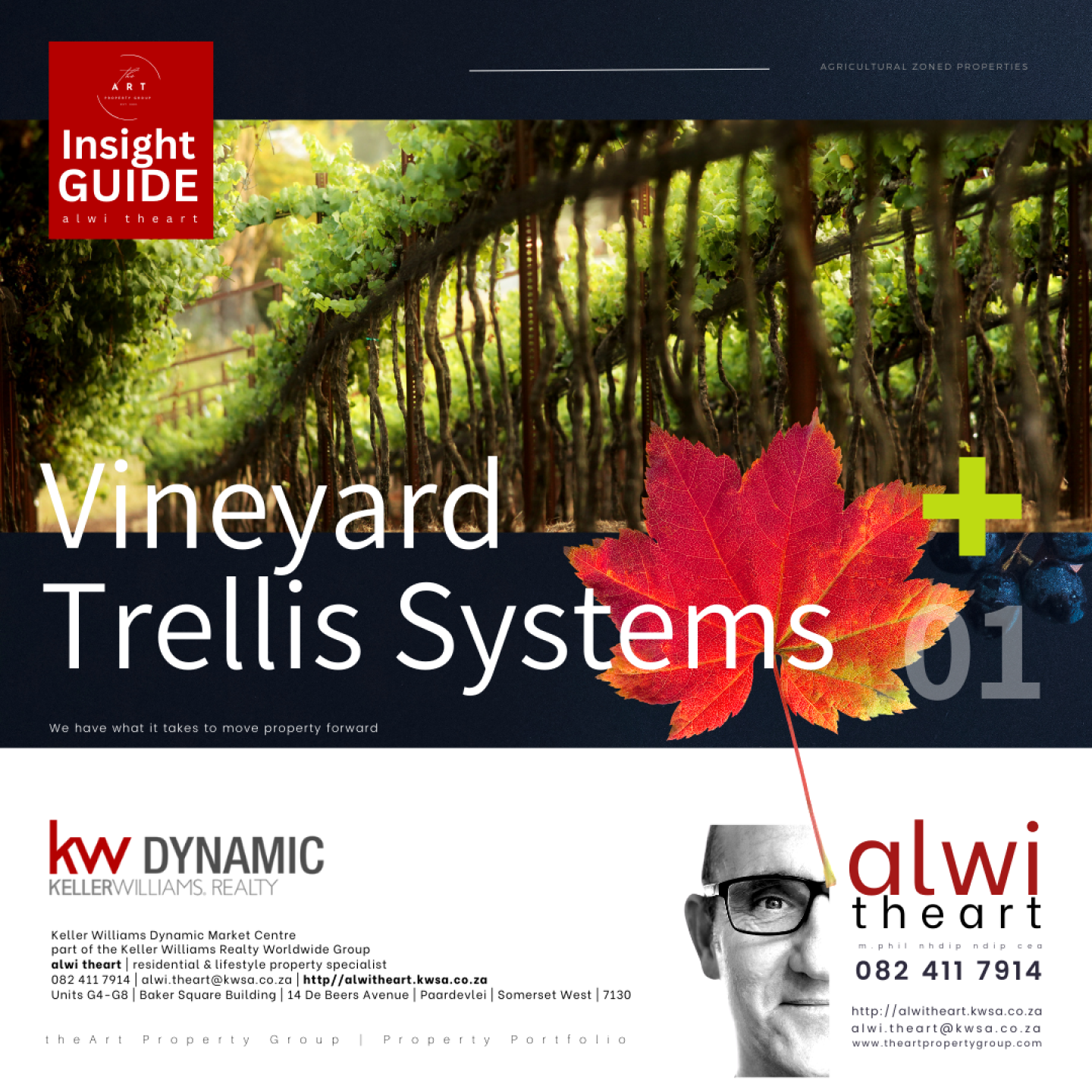 Vineyard Trellis Systems.png