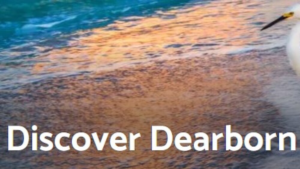 Discover Deerbon.jpg