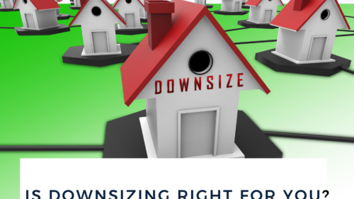 Downsizing1024x759.png