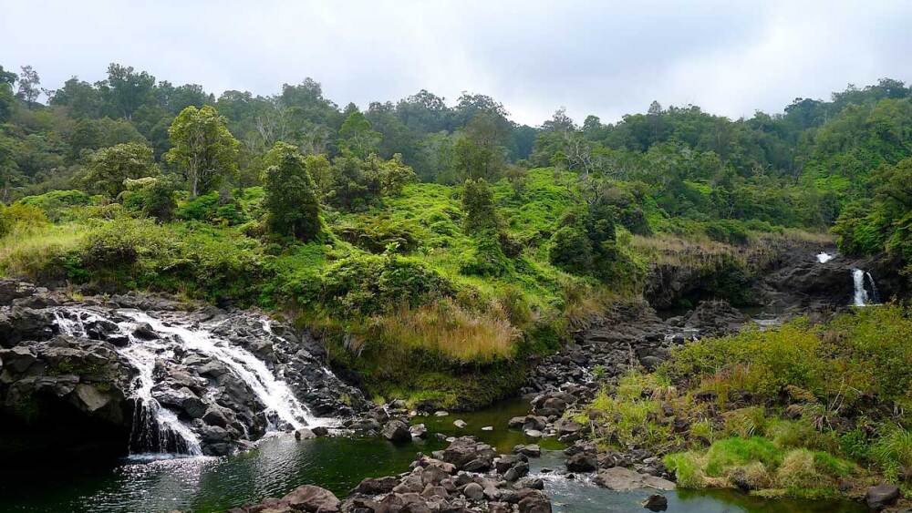 hilo-waterfalls1.jpg