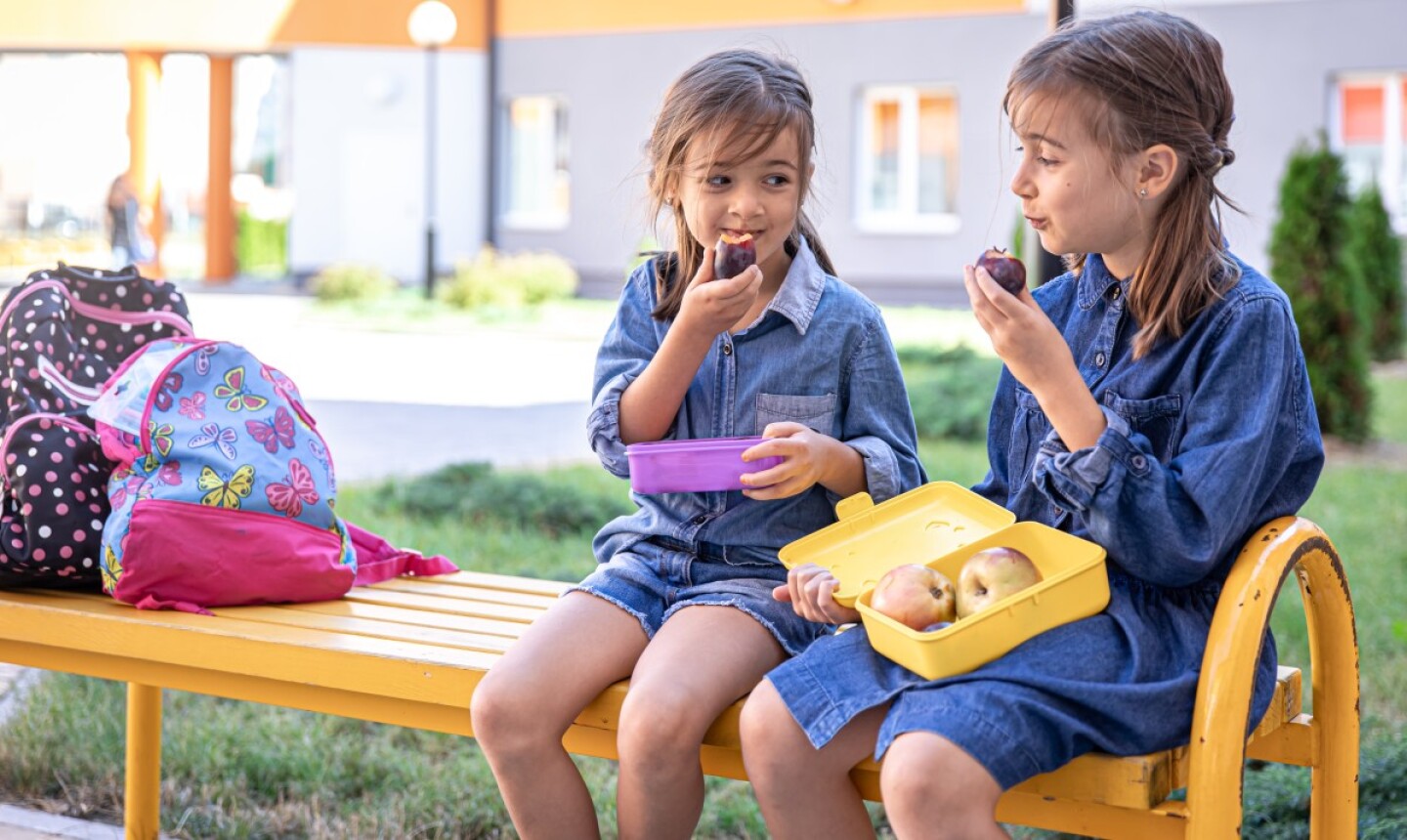 little-school-girls-sitting-bench-school-yard-eating-from-lunch-boxes.jpg