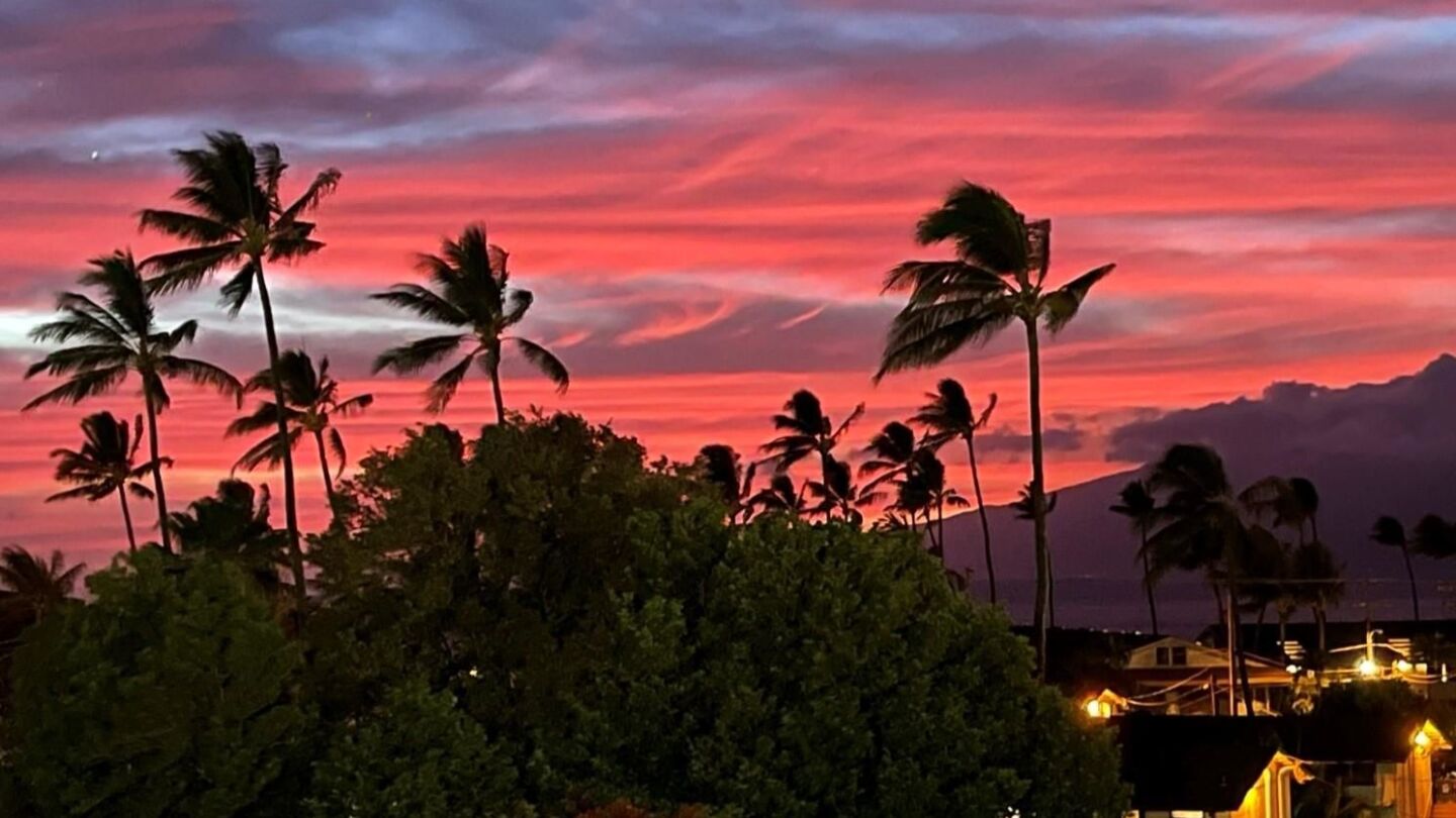Maui Condos - cover