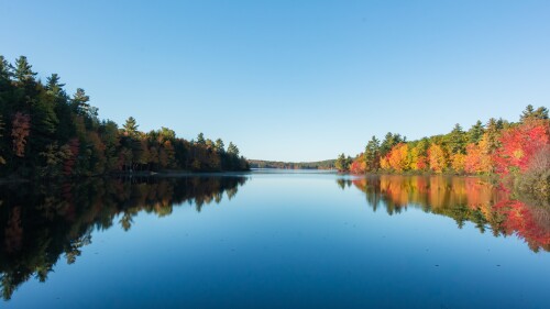 Canva - Autumn colors on a lake in Maine.jpg