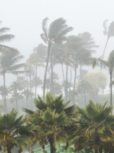 hurricane np.jpg