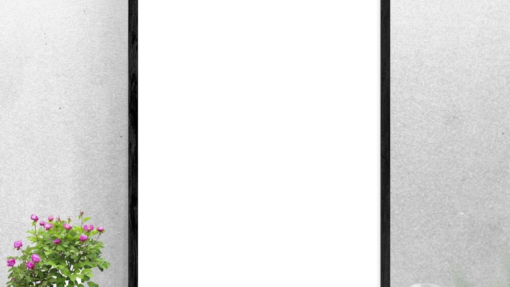 blank poster