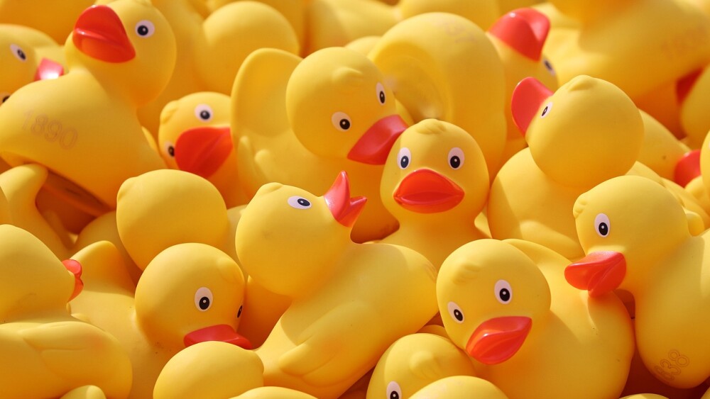 rubber ducks