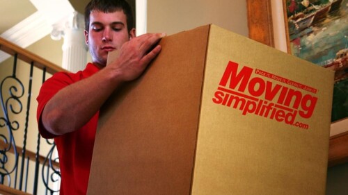 Man with Moving Box